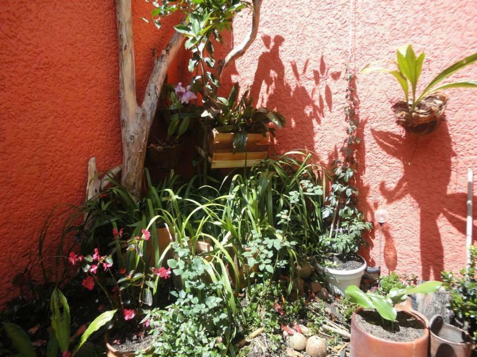 Hostal Del Carmen Villa de Leyva Kültér fotó